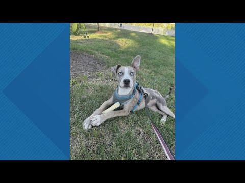 Sammy's Stars: Oct. 13, 2025 – YouTube