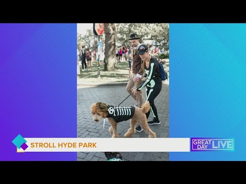 3rd Annual STROLL Hyde Park Pet Parade – YouTube