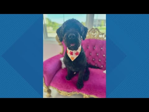 Sammy's Stars: Oct. 14, 2025 – YouTube