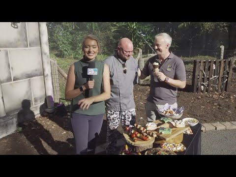 Boo! at the Zoo offers some yummy snacks! – YouTube