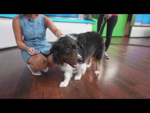 Sammy's Stars: Oct. 15, 2025 – YouTube