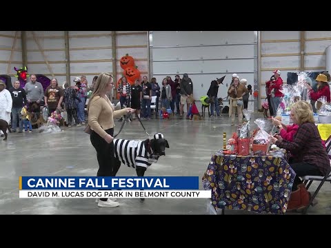 Halloween goes to the dogs at Belmont County's Canine Fall Festival – YouTube
