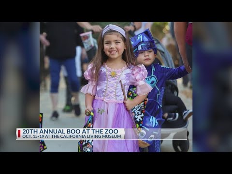 20th annual 'Boo at the Zoo' set for Oct. 15-19 – YouTube
