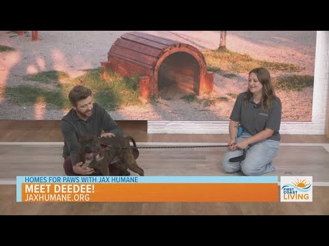 Homes for Paws | Meet DeeDee! – YouTube