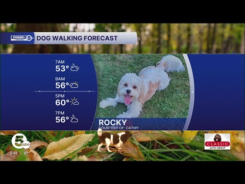 Wet puppy paws this morning – YouTube