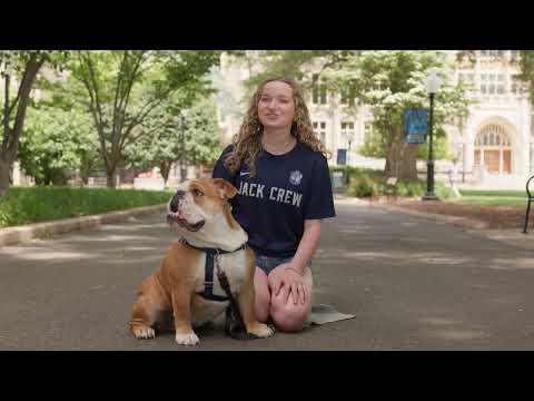 What Rocks: Jack the Bulldog – YouTube
