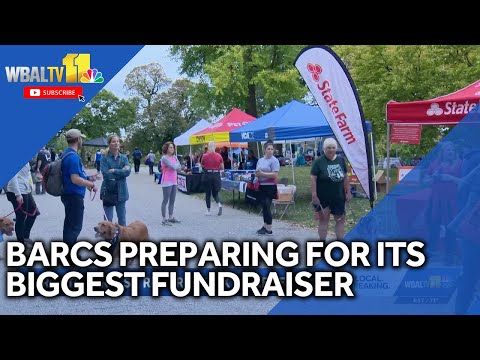 BARCS preparing for its biggest fundraiser of the year – YouTube