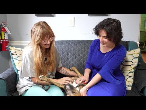 Adoptable Pet: Nyla – YouTube