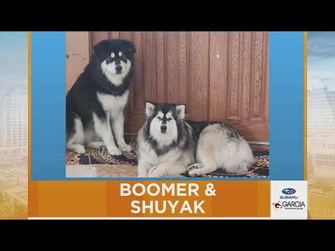 New Mexico Living Pet Pics October 10, 2025 – YouTube