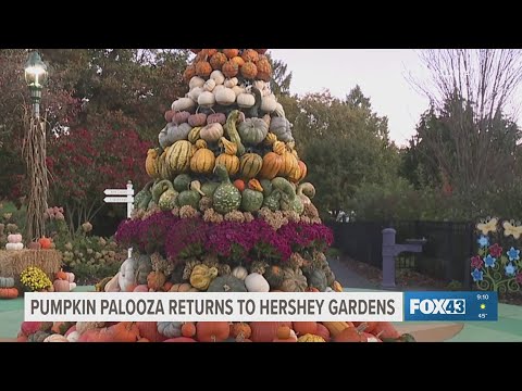 Pumpkin Palooza returns to Hershey – YouTube