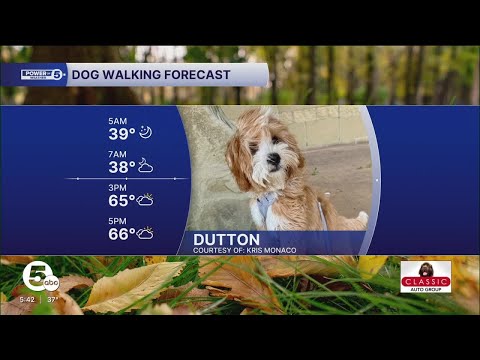 Meet Dutton! – YouTube