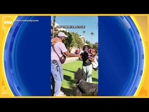 Floral artist spreads joy with free flowers – YouTube