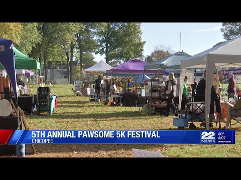 Kane's Krusade 5K Festival raises funds for pets – YouTube