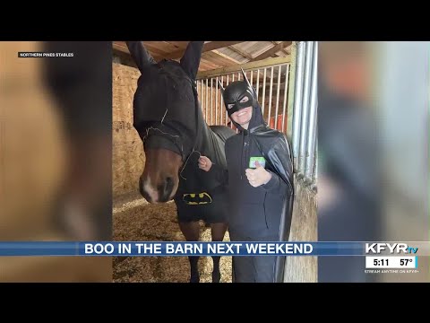 Boo in the Barn bringing spooky fun, equine education – YouTube
