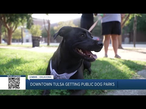 Downtown Tulsa getting new public dog parks to serve growing pet population AM
