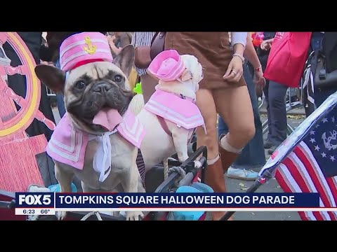 No tricks, just treats: Dogs in costumes take over Tompkins Square Park – YouTube