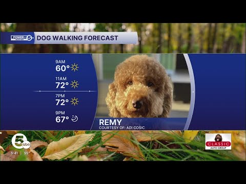 Friday's HOT dog walking forecast – YouTube