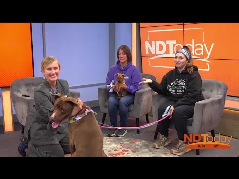 ND Today: Furry Friends – YouTube