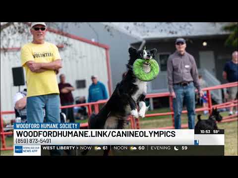 Beth Oleson – Woodford Humane Society's Canine Olympics – YouTube