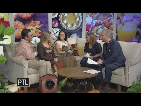 The fearless feline: Ray Ray the cat joins PTL after his wild, 100-mile adventure - YouTube