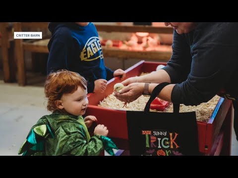 Costumes and candy await at Critter Barn's 'BOO at the Barn' this weekend - YouTube
