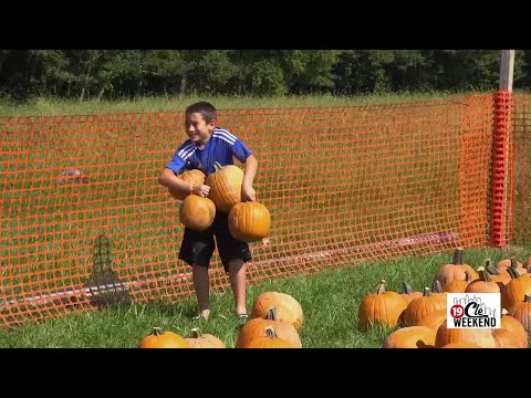 42 Years of Fall Fun: Your Guide to the Red Wagon Farm Pumpkin Festival – YouTube