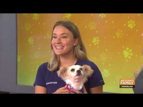 Pets on Parade (Full Episode) 10-18-2025 - YouTube
