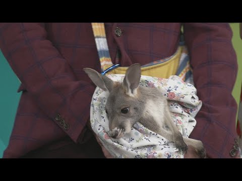 9th Annual Outdoorsman Expo – YouTube