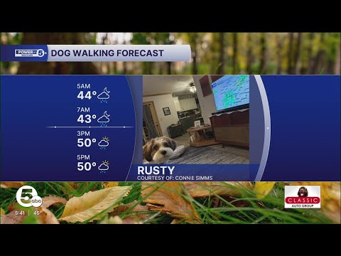 Your October 23 dog walking forecast – YouTube