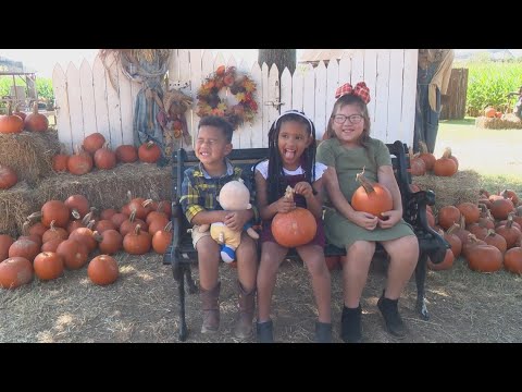 Wednesday's Child: Trio of joyful siblings seek forever family filled with love and laughter