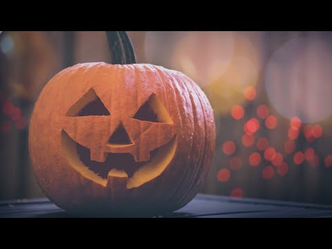 Lucky Dog Rescue – YouTube