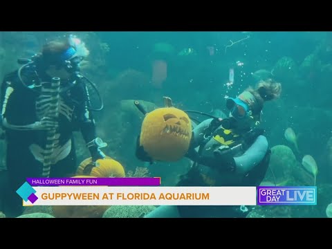 Guppyween is back at Florida Aquarium – YouTube