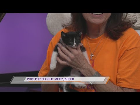 Pets Fur People: Meet Jasper – YouTube