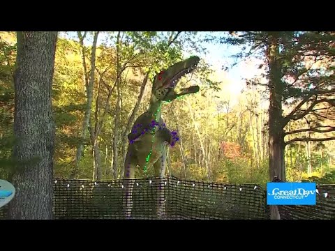 Dino Place Pumpkin Passage – YouTube