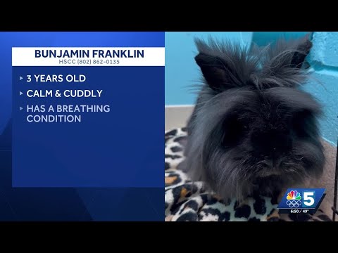 Pet Connection: Oct. 23, 2025 – YouTube