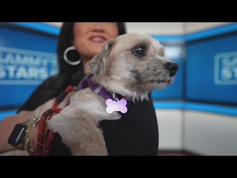 Sammy's Stars: Oct. 23, 2025 – YouTube