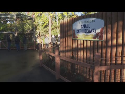 Zoo Boise unveils new and improved Small Animal Kingdom – YouTube