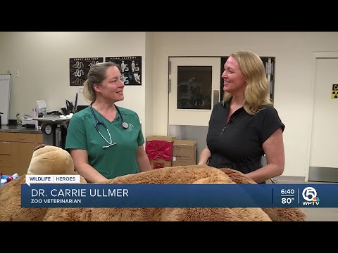 Palm Beach Zoo hosts first-ever teddy bear clinic this weekend – YouTube