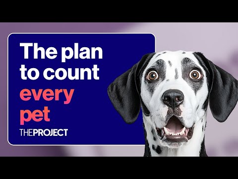 Why Every Aussie Pet Could Be Counted One By One – YouTube
