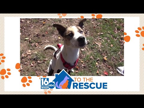 16 To The Rescue: Magoo – YouTube