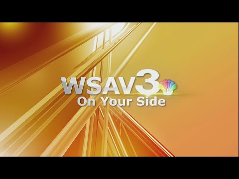 Pets of the week: Meet Mercury, Jupiter, & Uranus – YouTube