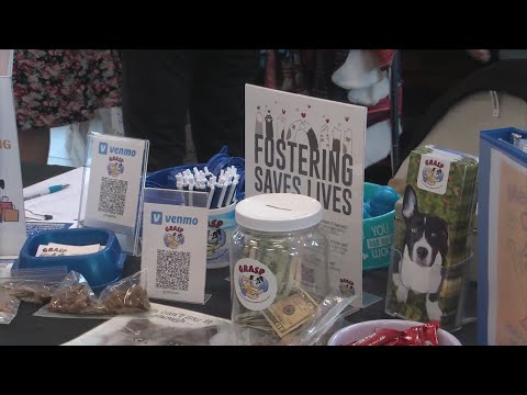 GRASP hosts free microchipping, adoption event – YouTube