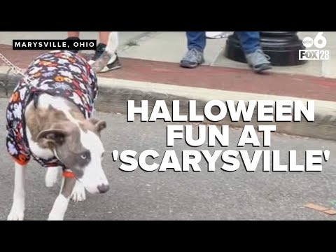 Ohio town transforms into “Scarysville” for Halloween fun and adorable pet costume contest!
