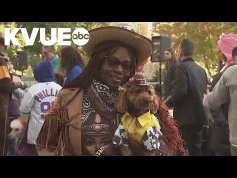 Pets show off Halloween costumes in Chicago parade – YouTube
