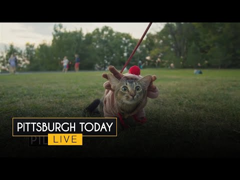 Dr. Mike Hutchinson joins PTL to discuss healthy pet habits and tips for a fun Halloween