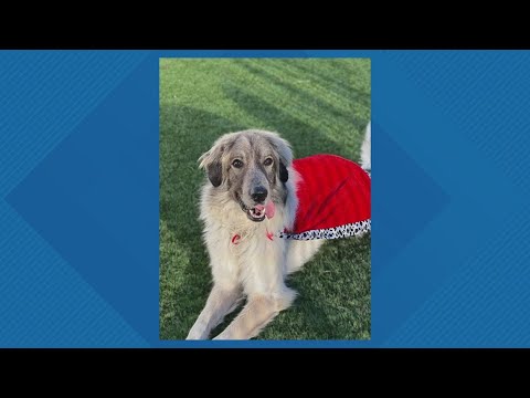 Sammy's Stars: Oct. 28, 2025 – YouTube