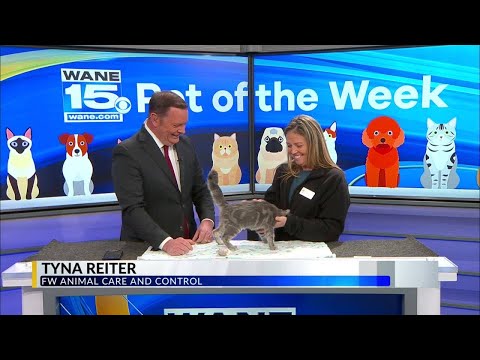 Pet of the Week: 10/28/25 – YouTube