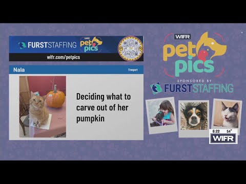 Pet Pics for Oct. 28: Mia, Nala, Shiloh – YouTube