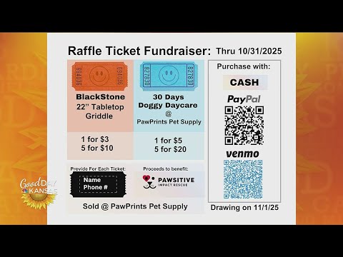 Furry Friends – Pawsitive Impact Rescue – YouTube