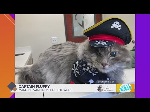 Pet Pics: A special "Howl-a-Ween" edition – YouTube